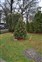 Christmas Tree Trimming - 2012-015.JPG